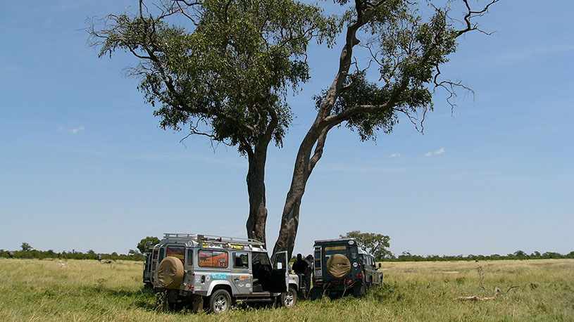 Avoid odd season safari tours